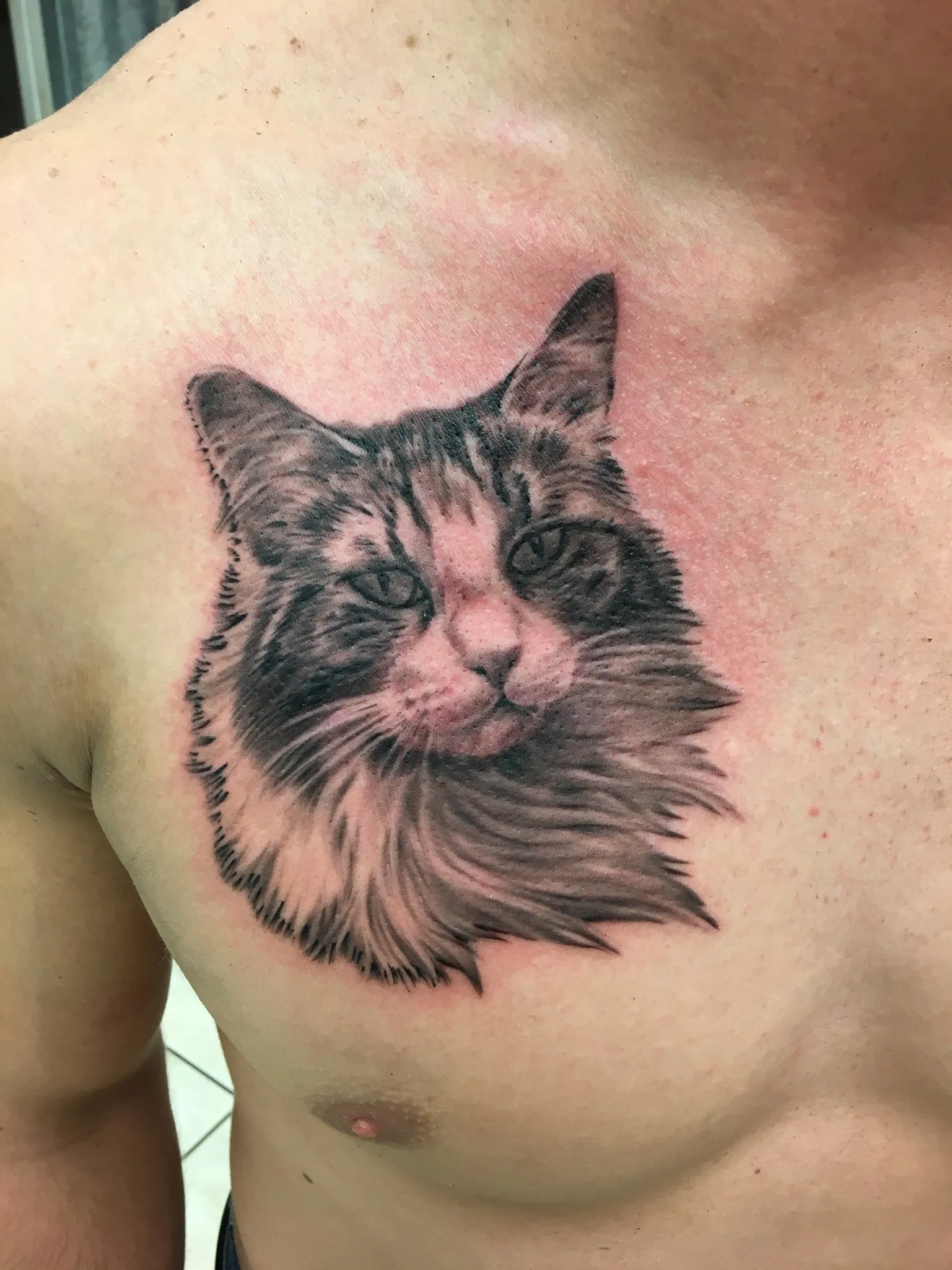 PORTRAITS tattoo by Disciple Tattoo